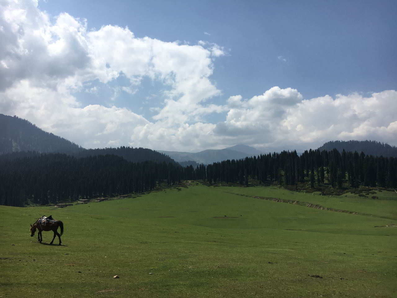 Kashmir Diaries